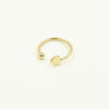 Bae Earcuff