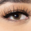 Ocean Brown Green