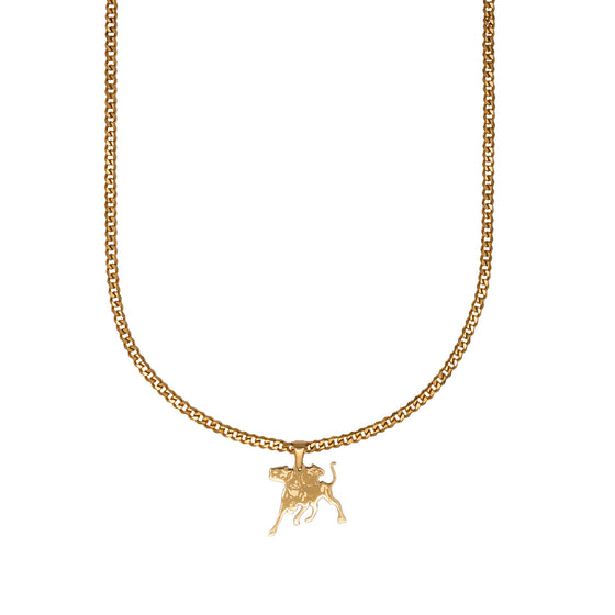 pitbull kette kaufen navdip